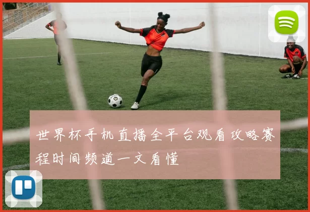 世界杯手机直播全平台观看攻略赛程时间频道一文看懂