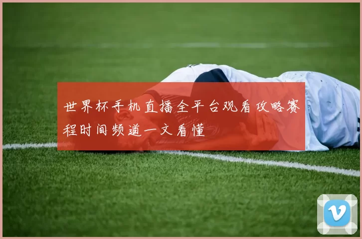 世界杯手机直播全平台观看攻略赛程时间频道一文看懂