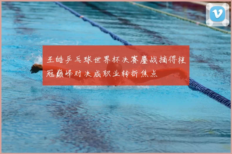 王皓乒乓球世界杯决赛鏖战摘得桂冠巅峰对决成职业转折焦点