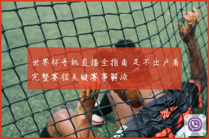 世界杯手机直播全指南 足不出户看完整赛程关键赛事解读