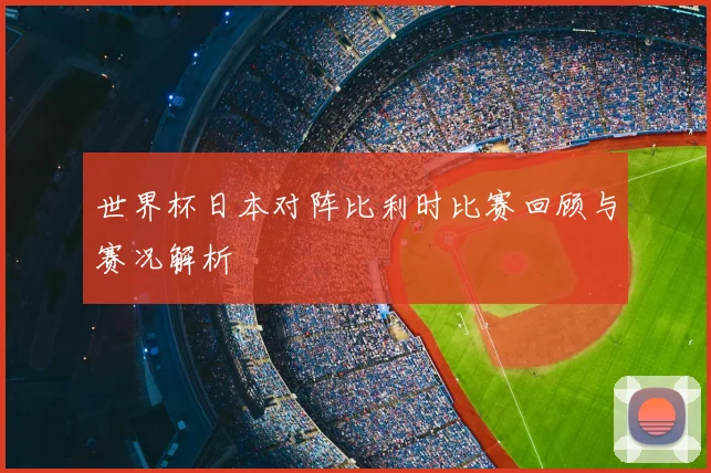 世界杯日本对阵比利时比赛回顾与赛况解析